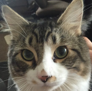 Meet your Posher, Luna